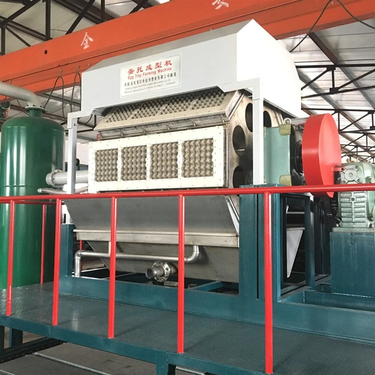 Best Egg Carton Machines Best Egg Carton Machines