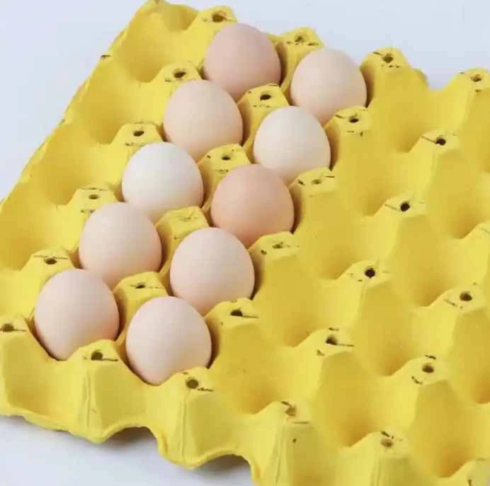 3 3